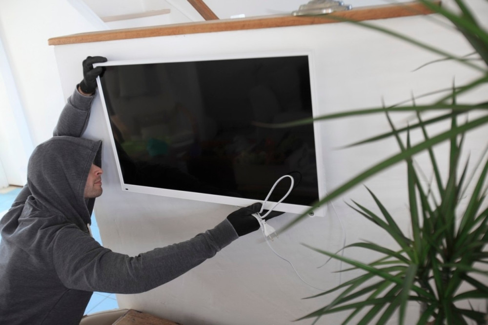 Uhapšeni lopovi "termiti"