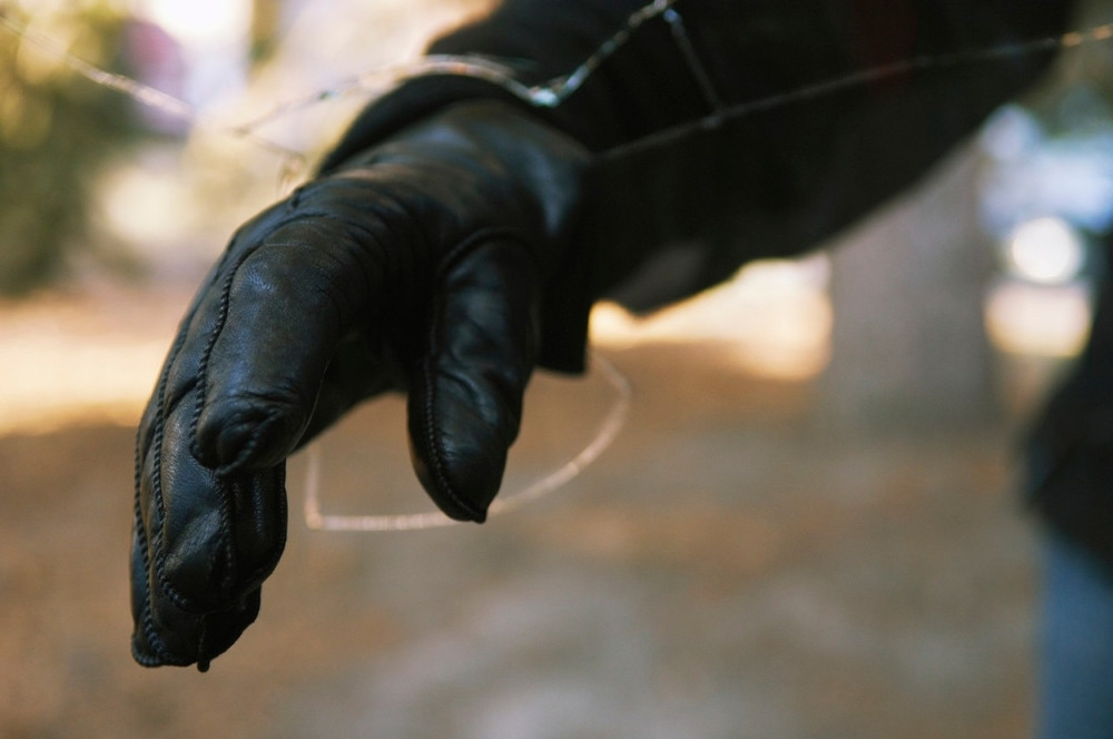 Pink Panteri ukrali krunu od milion evra?!