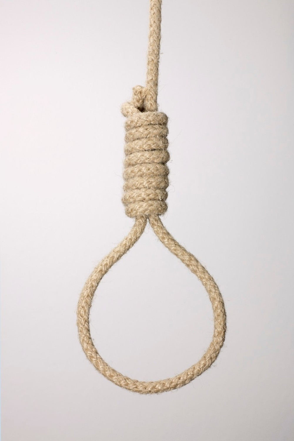 Okačili omču na drvetu ispred muzeja