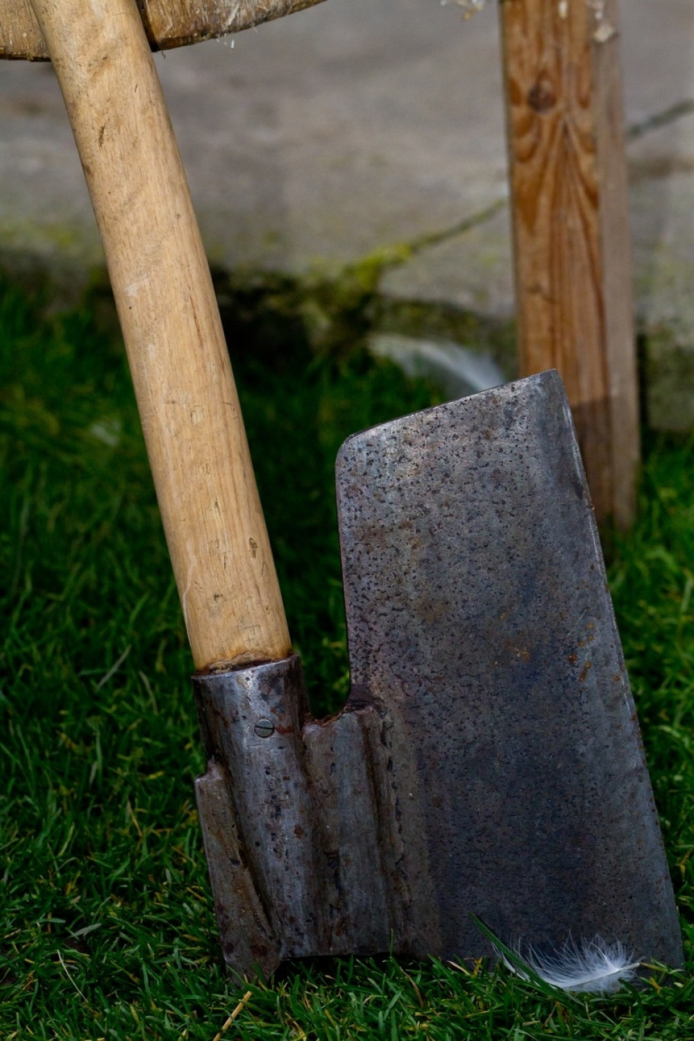 Zapio se sa ocem, pa dedu i babu ubio sekirom!