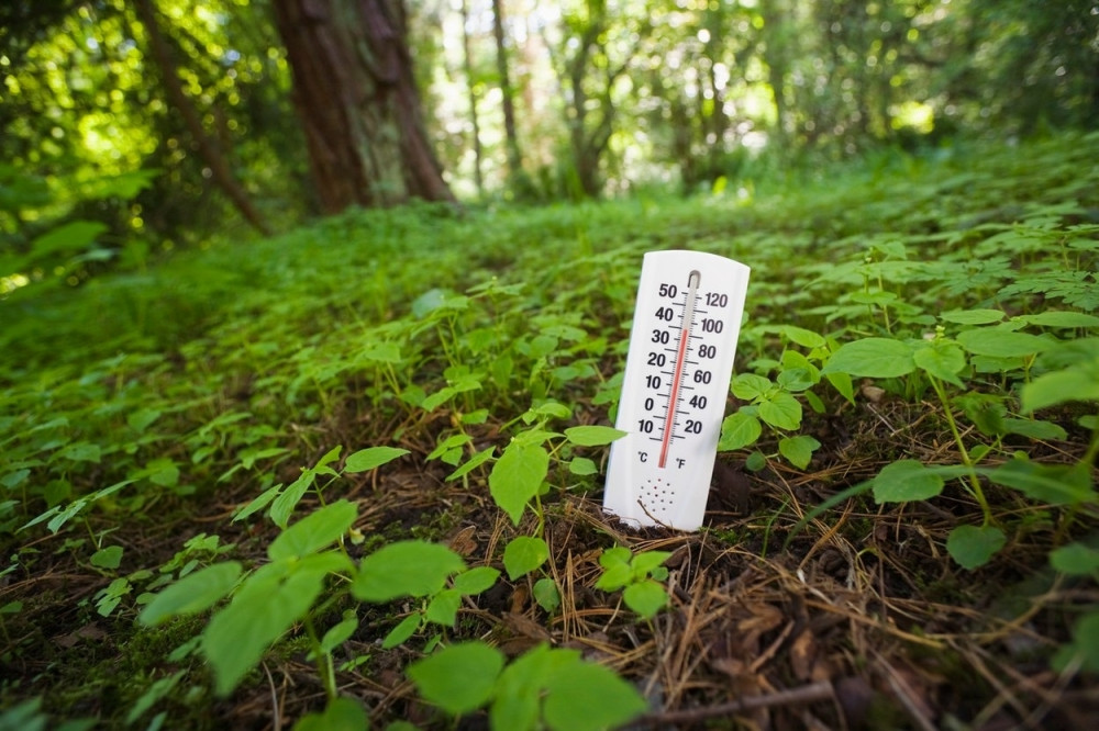 Ovo je bio natopliji februar do sada