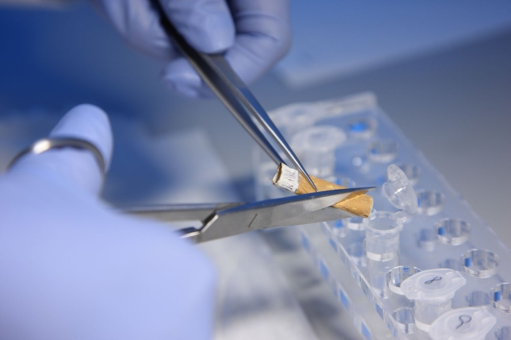 Zločincima u Srbiji odzvonilo!