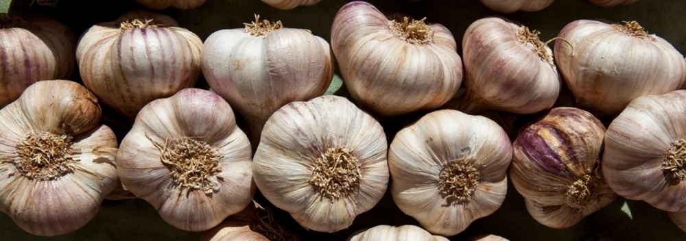 Stavite beli luk u uvo, ostavite da odstoji preko noći, ujutru ćete osetiti NEVEROVATNU PROMENU!