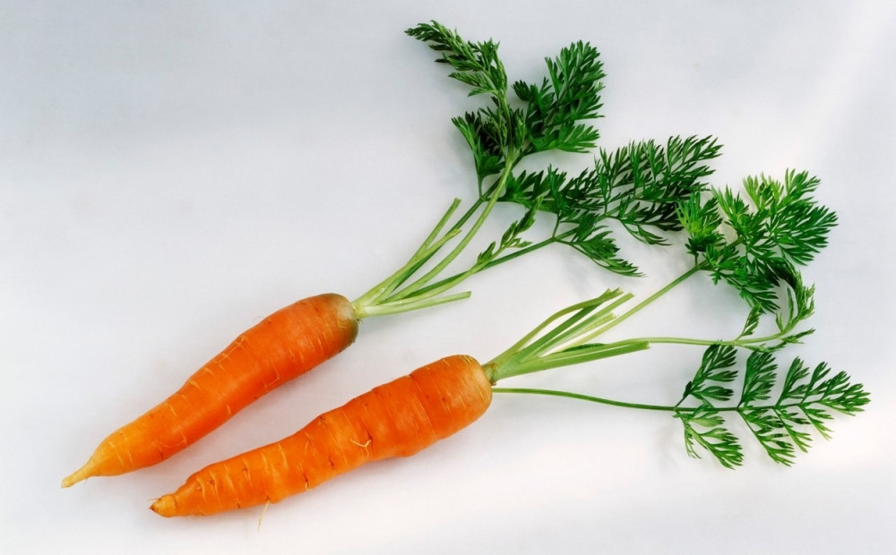 Lišće od šargarepe više nikada nećete bacati, a evo i zbog čega!