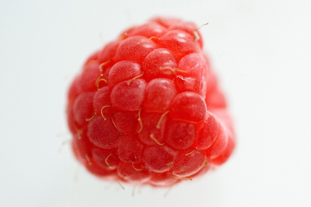 Tuča malinara, prete blokadom Srbije