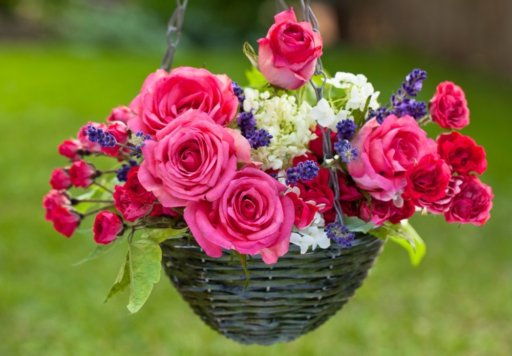 Političari spremili cveće za dame!