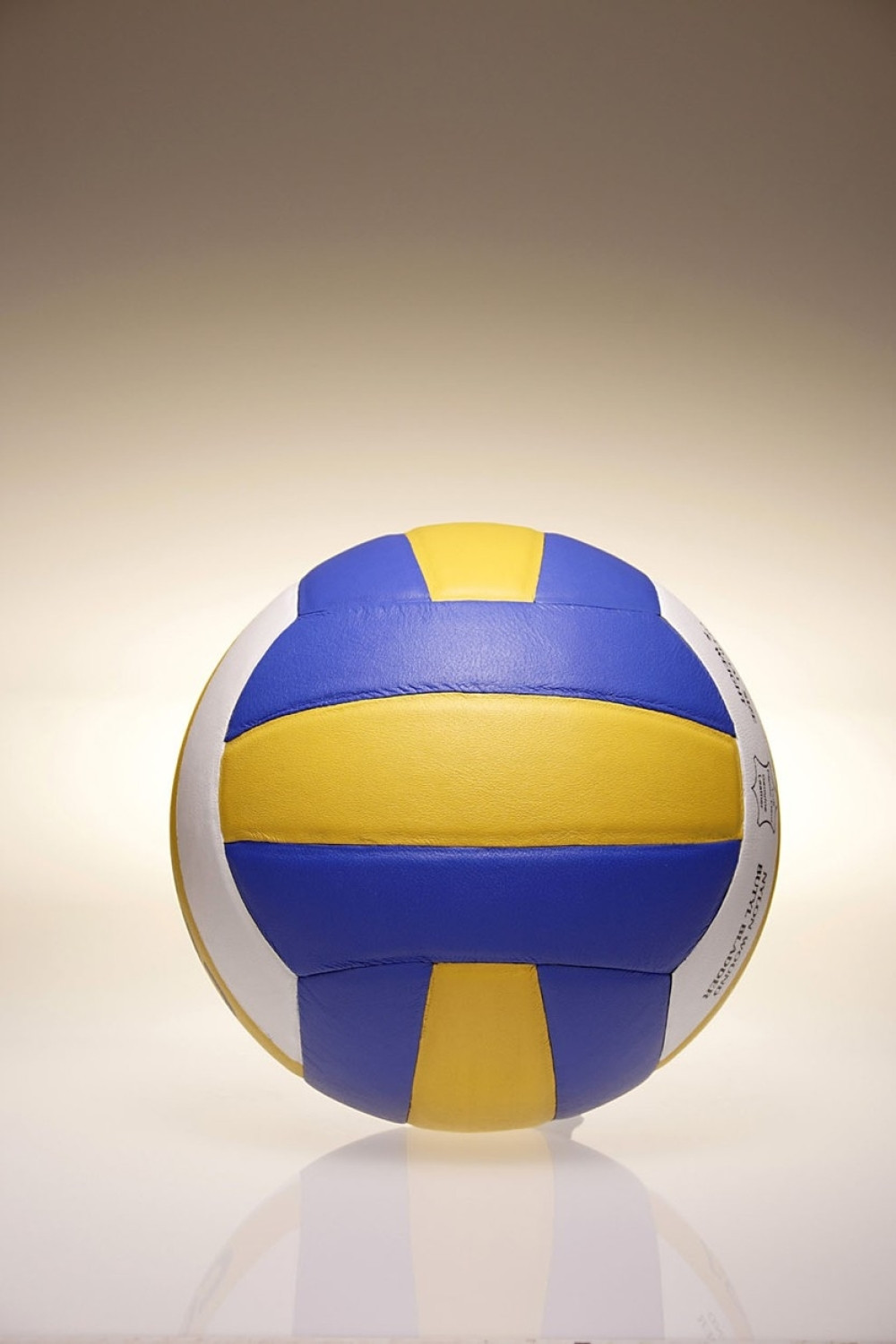 Human gest našeg zlatnog odbojkaša