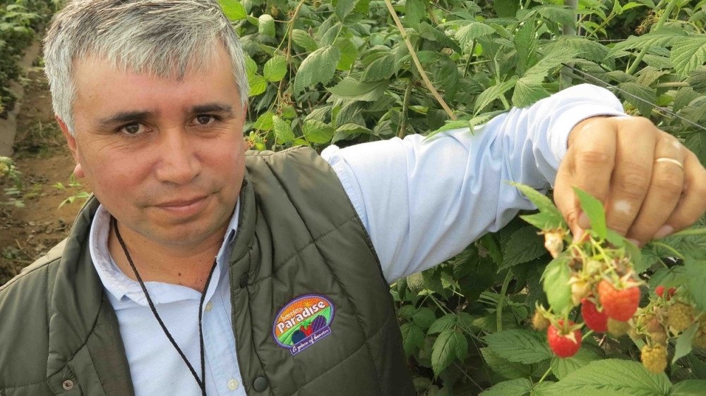 Malinari traže pregovore sa vladom!