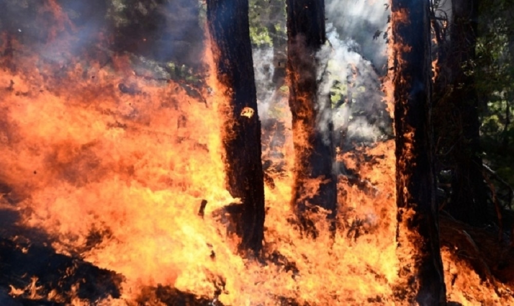 Požari atrakcija za turiste u Hrvatskoj?!