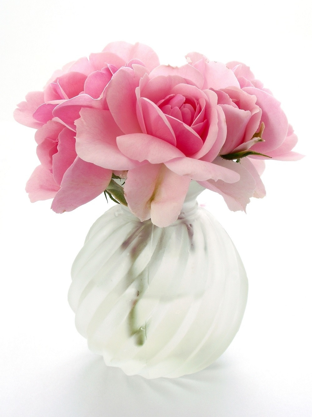 Kako da cveće ostane sveže što duže!