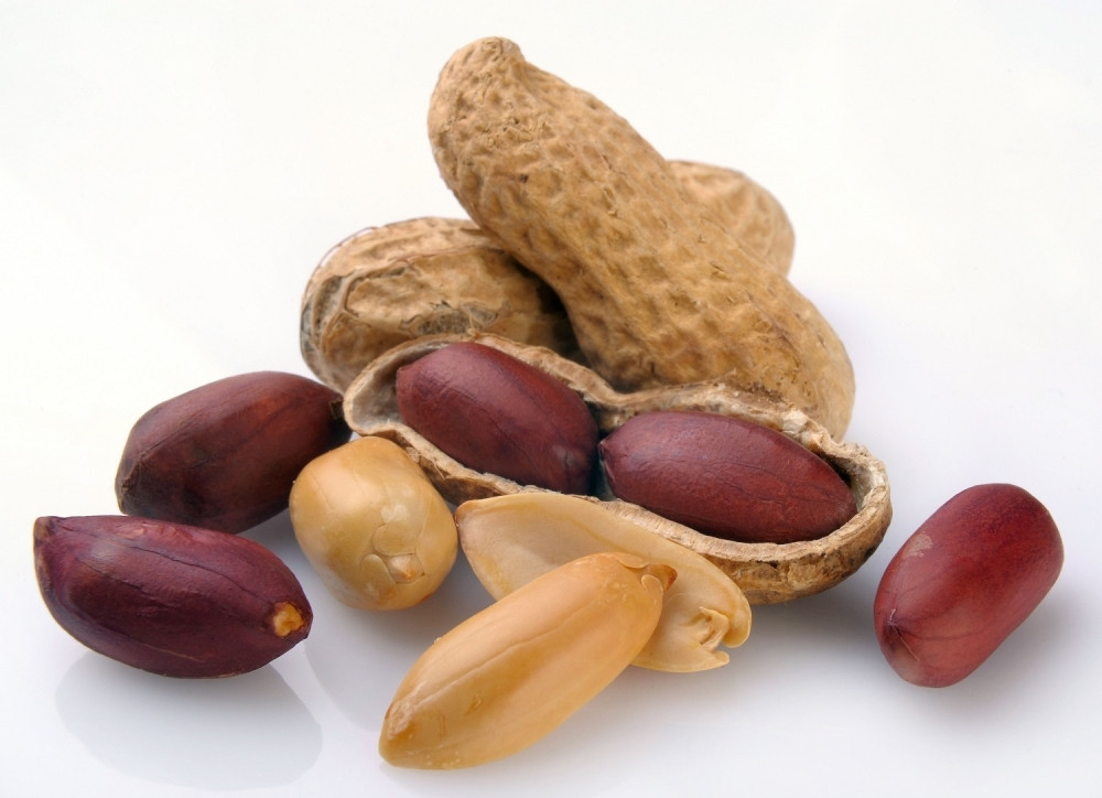 Toksini u kikirikiju, bakterije u pastrmci