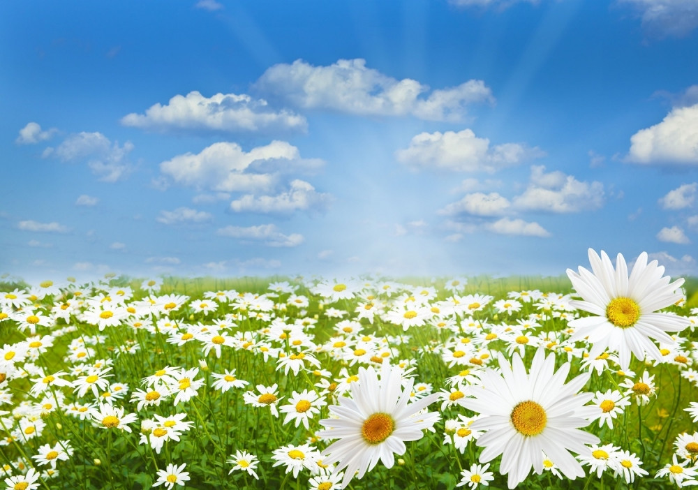 Vreme za vikend i celu narednu nedelju!