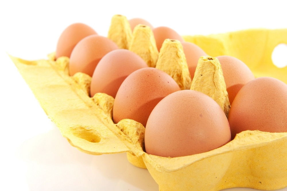 Stalno bacate kutije od jaja, a evo šta sve možete sa njima!