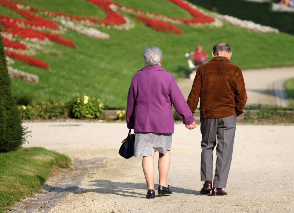 Ali je pronašla put, spisak domova u kojima je zabeležena zaraza