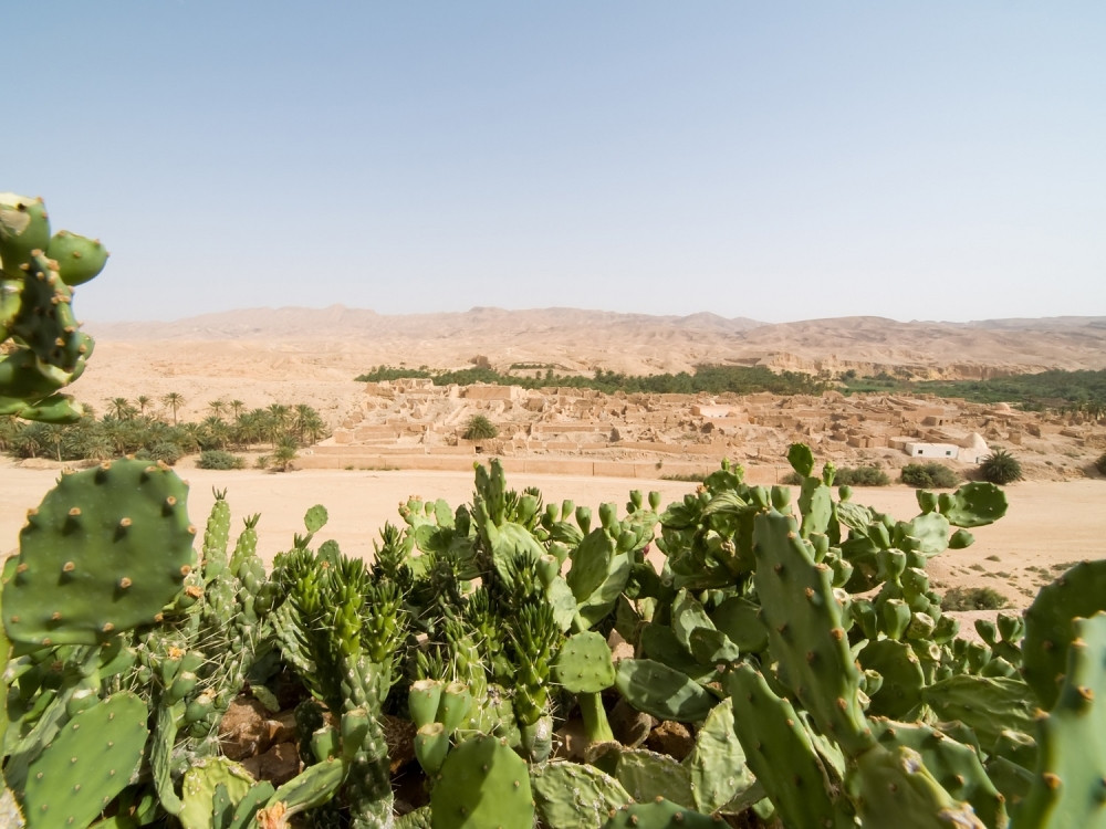 Oni koji pričaju engleski sve bi dali da u svom jeziku imaju ovi našu reč!