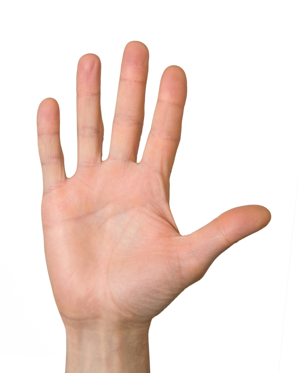 Evo kako su levica i desnica dobili ove nazive