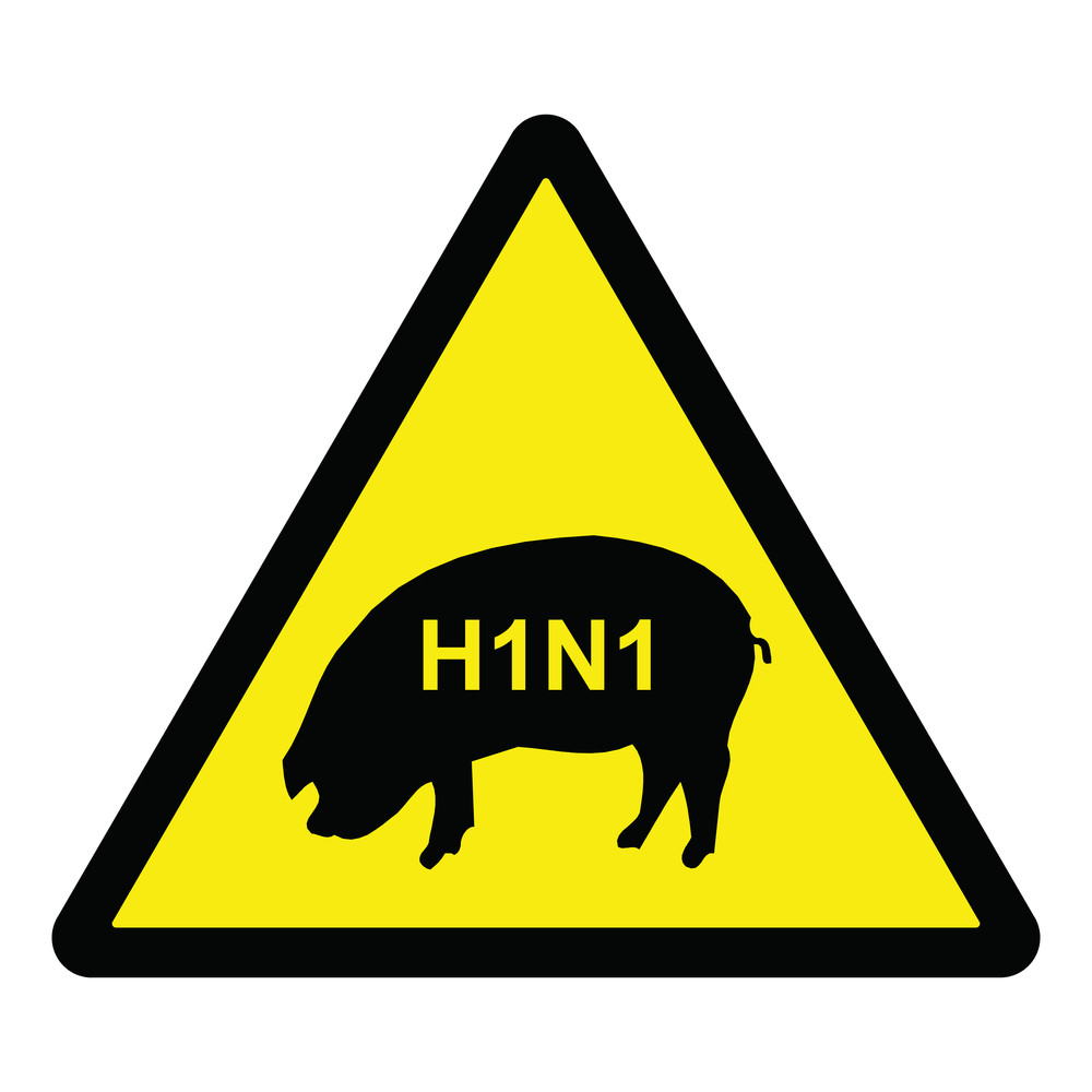 U Kragujevcu dva pacijenta sa svinjskim gripom