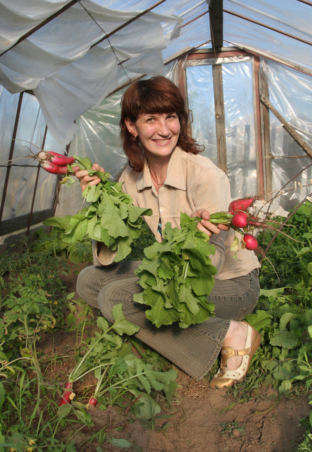 Kruševac dobija poljoprivredni fakultet