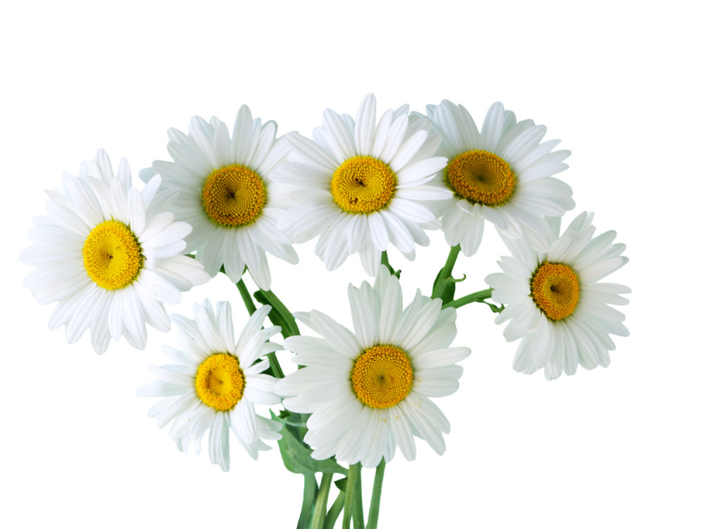 Zbog nemira ne spavate? Ovo će vam pomoći