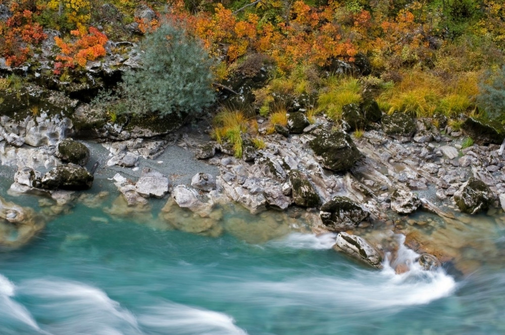 Meda Milisav će vam objasniti koliko je lepa "Tara"