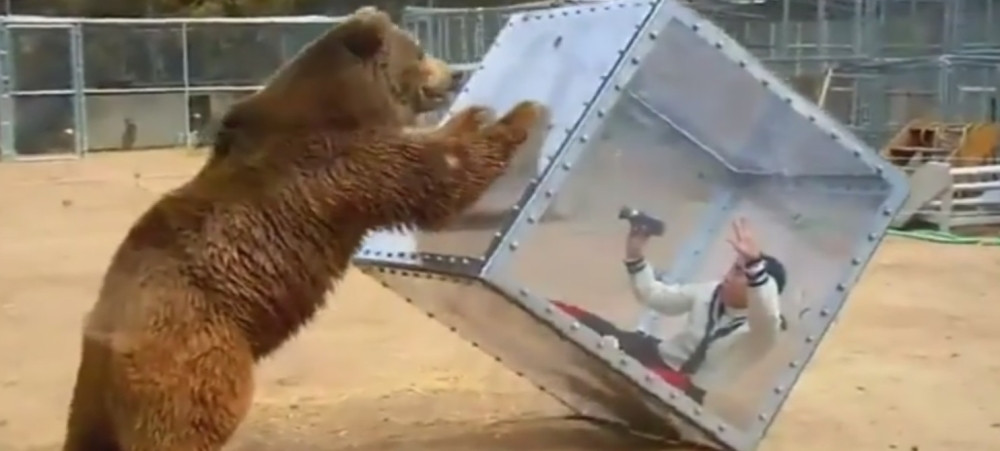 Japanski šou: Medved ljulja "kavez" s ljudima!