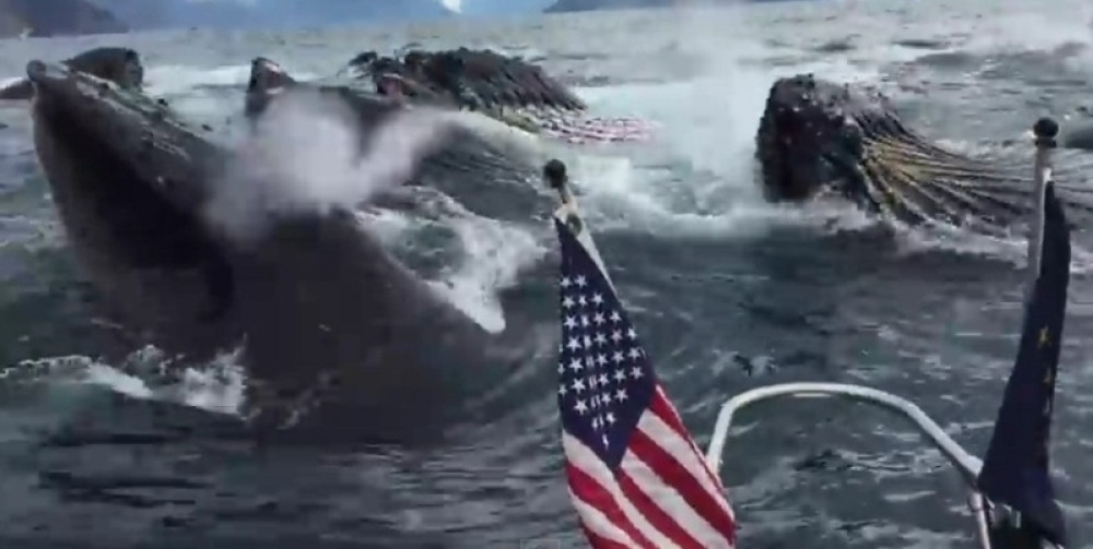 Sve je počelo kada je zastava pala na ruske bajonete! Sada im NESTAJE KOPNO!