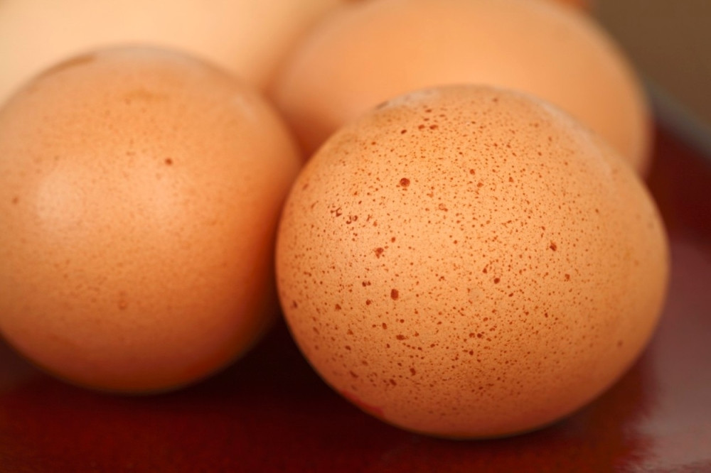 PERETE LI JAJA PRE NEGO ŠTO IH UPOTREBITE?! Kada čujete kako to utiče na zdravlje, nećete to više raditi!