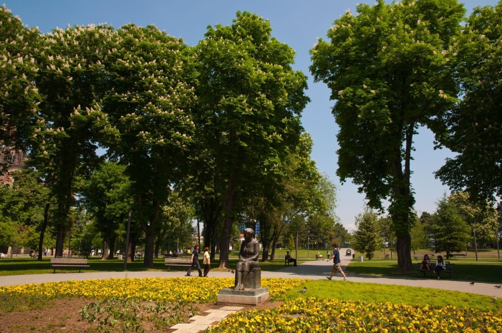 Miličinu bistu vraćaju na Taš