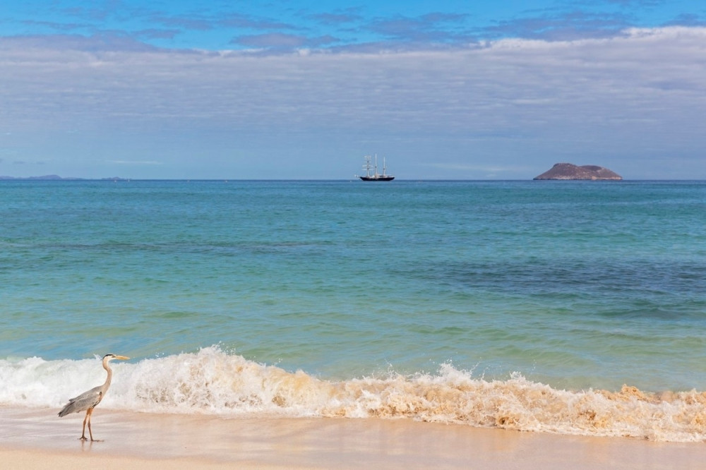 Zabranjeno odnositi pesak i školjke sa Galapagosa