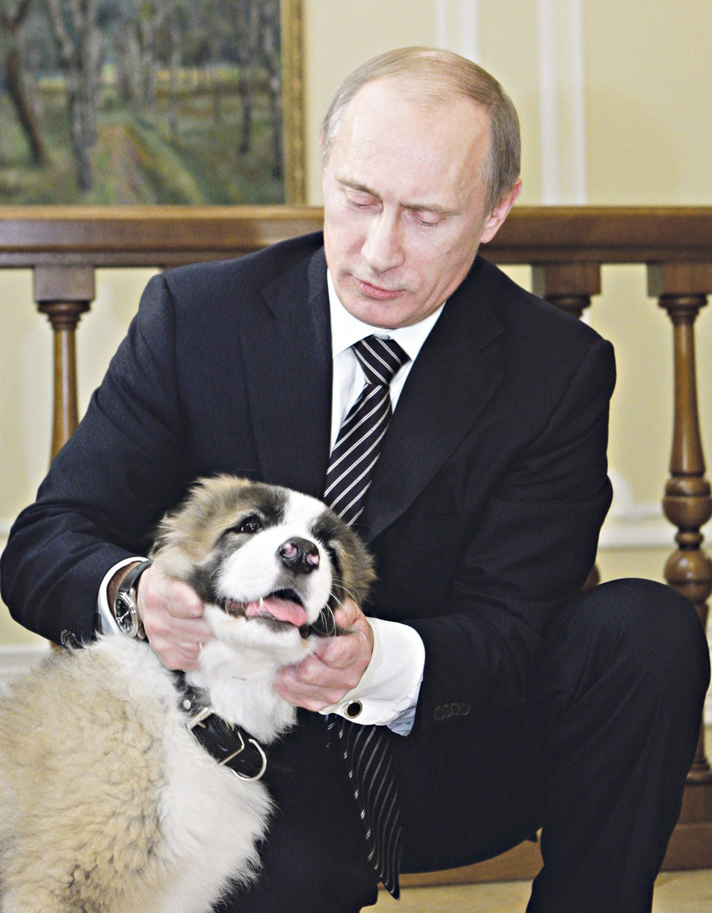 Putin kupio psa maloj Daši!