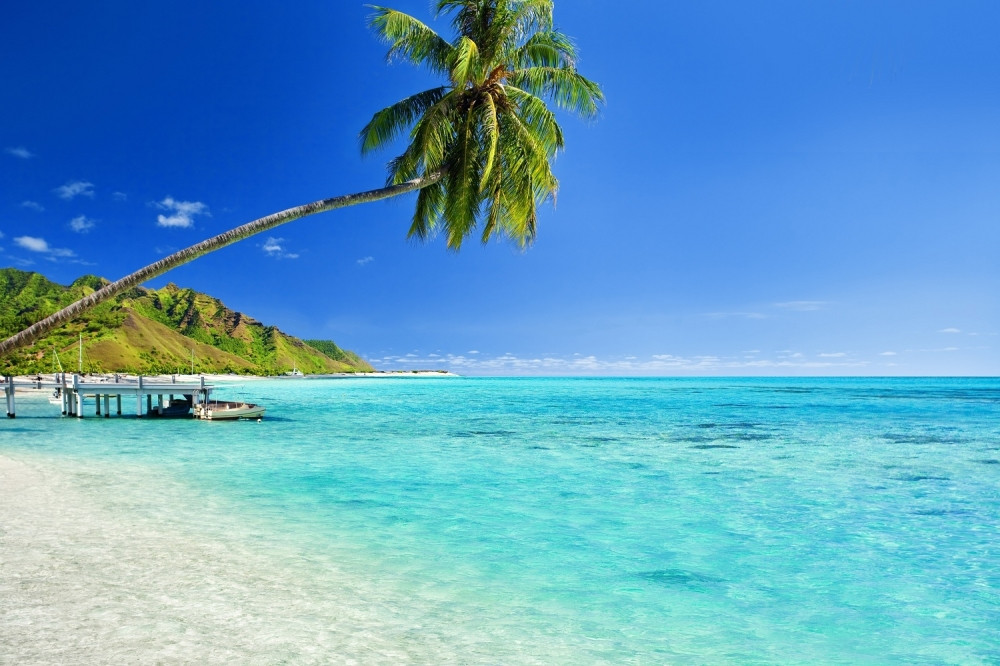 Turisti beže sa najlepših plaža sveta, a evo i zašto!