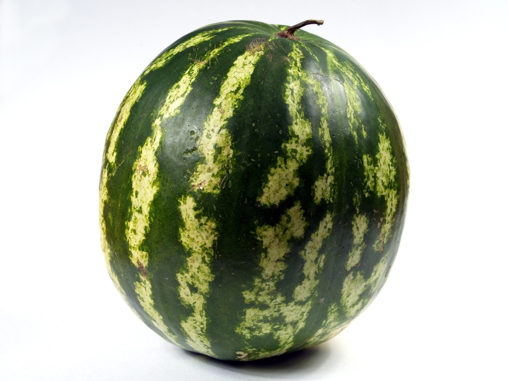 Bilderka butinama zdrobila lubenicu (VIDEO)