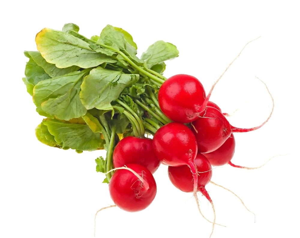 Niste svesni koliko su rotkvice zdrave, evo šta čine za vaše telo