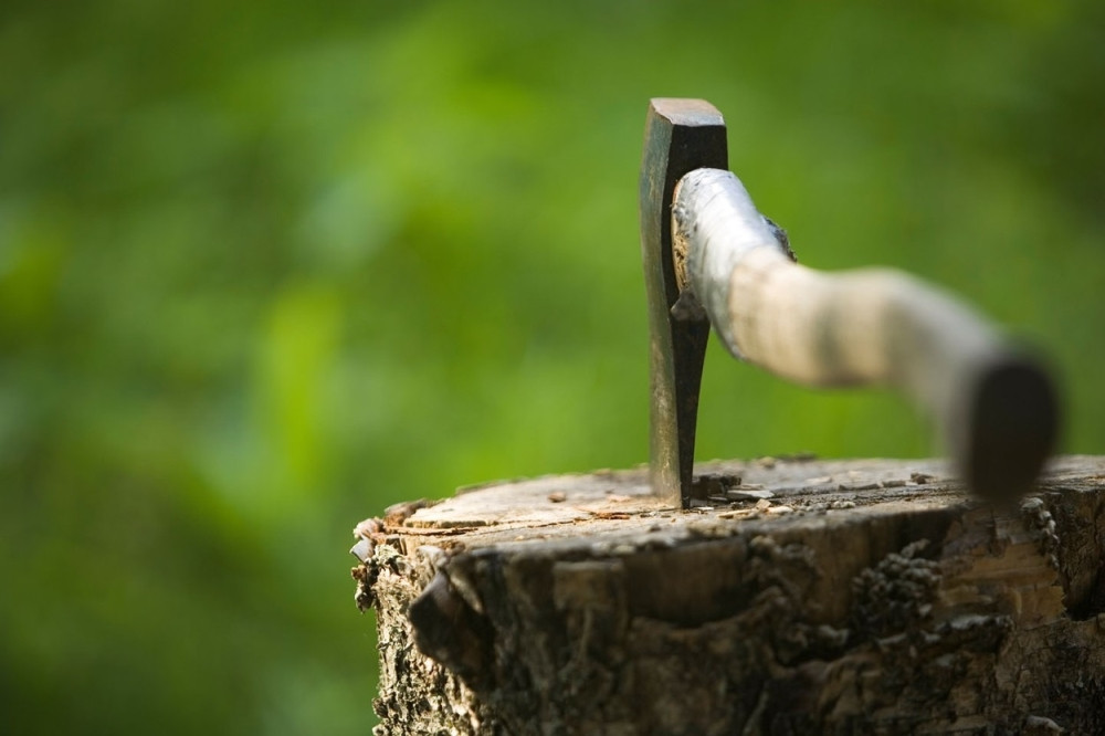 Komšija ubio sekirom komšiju prijatelja