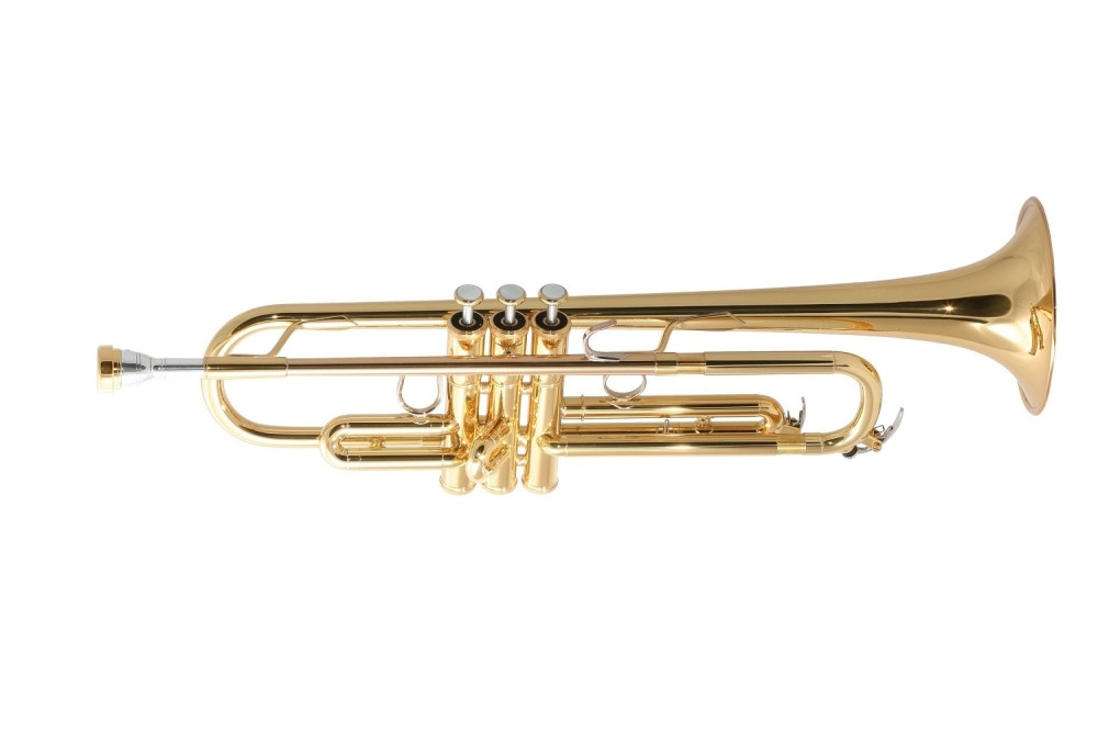 Srbi se uz trubu veselili u avionu (VIDEO)