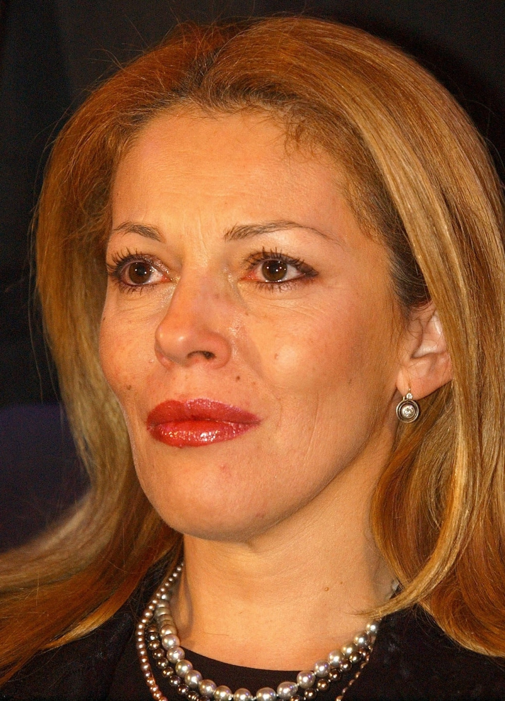 Ružica Đinđić neće u kampanju DS