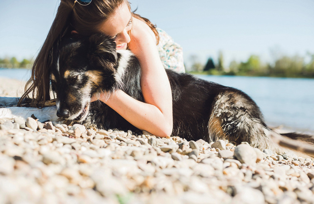 Veoma je važno da pričate sa svojim psom, evo i zbog čega
