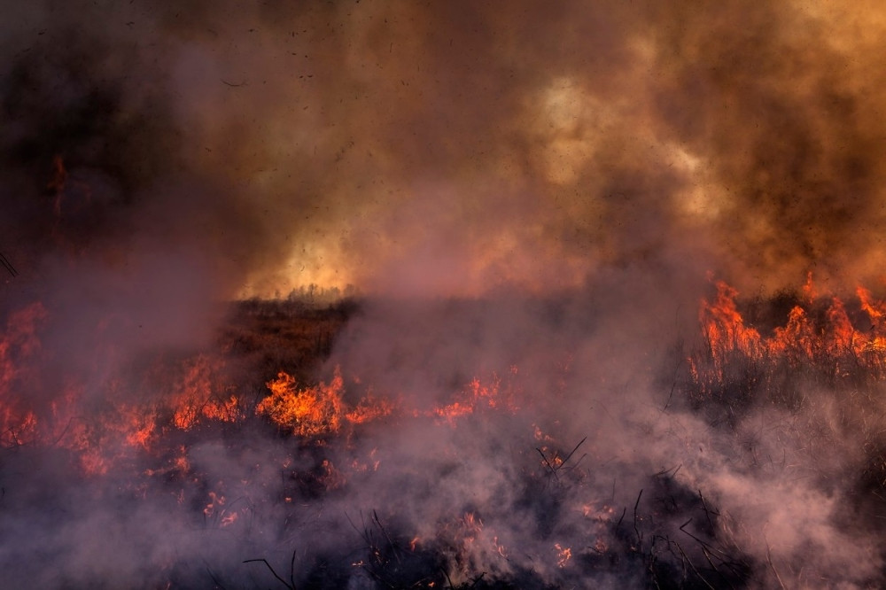 Na Žarkovu nestalo struje zbog požara
