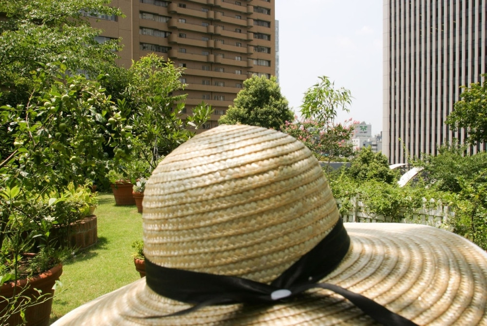 Zbog vrućina u bolnici 7.000