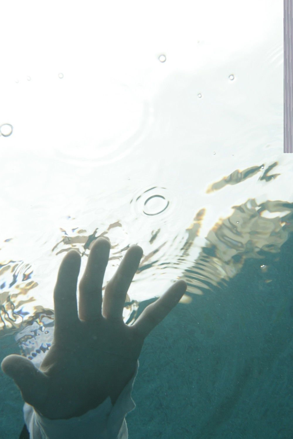 Dok su ga vadili iz vode, policajci su neprestano plakali i DOZIVALI NIKOLU DA SE PROBUDI!