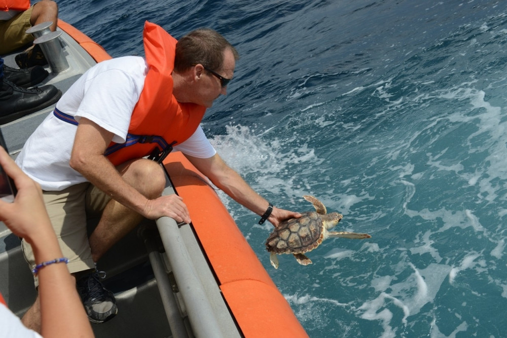 Obalska straža spasla na stotine beba kornjača