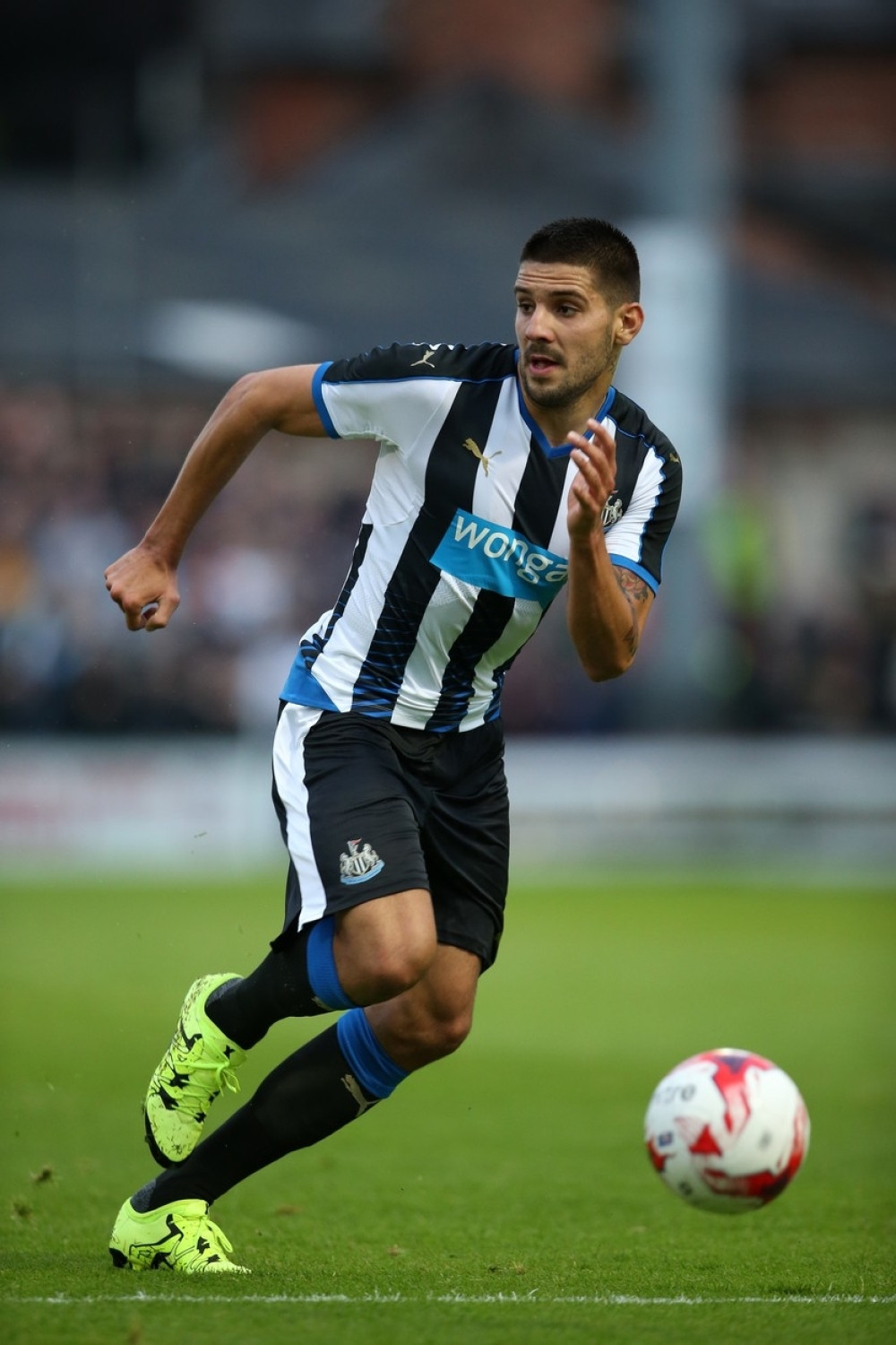 Mitar je pravi mali đavolak!