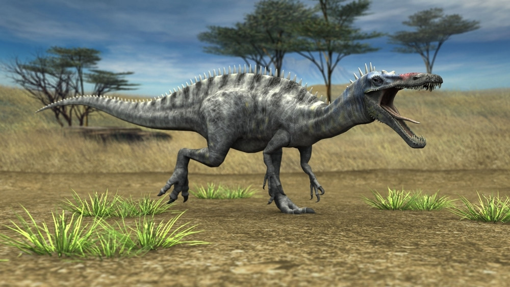 Pronađena fosilizovana jaja dinosaurusa stara 80 miliona godina