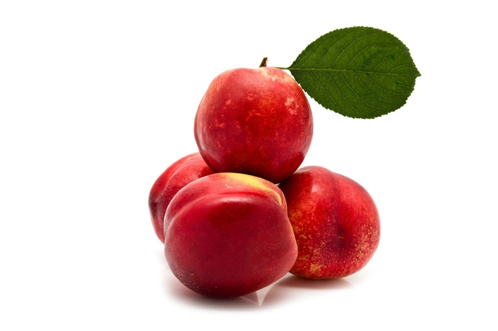 Vratili nam breskve zbog moljca