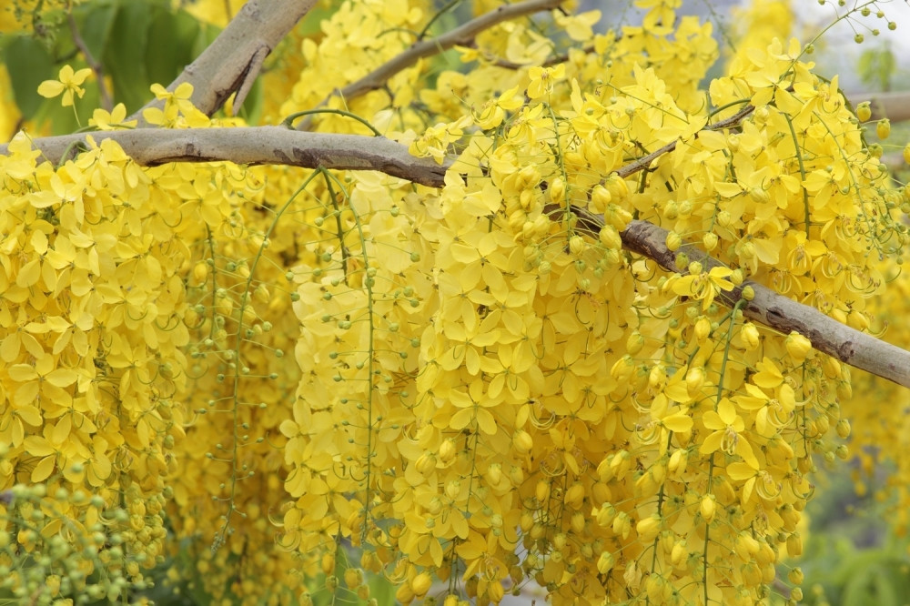 Danas jesen, sutra proleće!