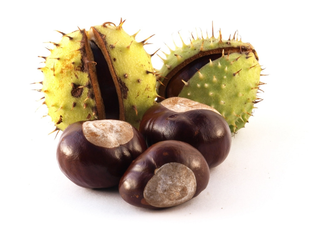 Razlozi da redovno jedete kesten