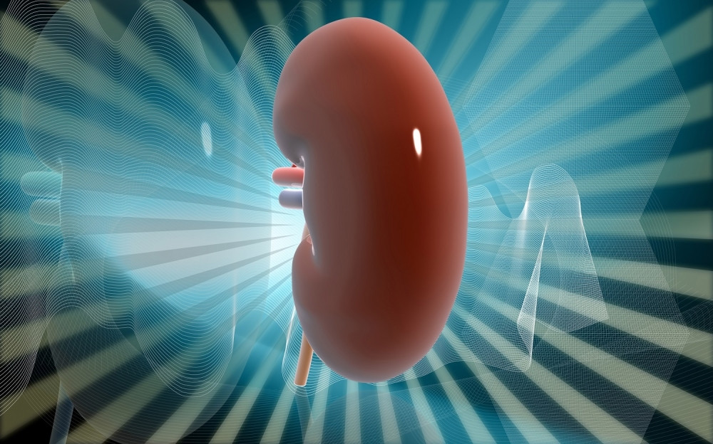 Svaki građanin Srbije biće mogući davalac organa!