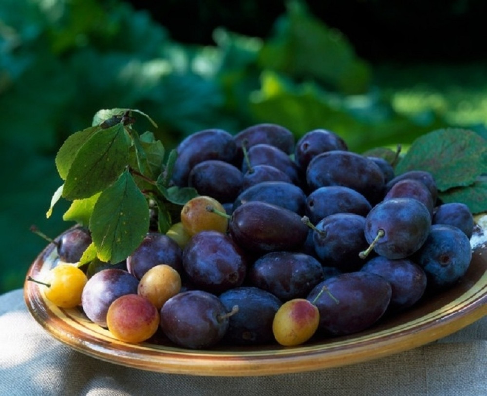 Kolač sa šljivama i kokosom