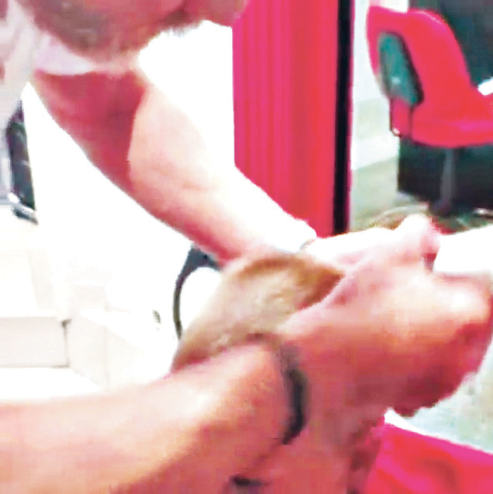 Kalinić sam šiša sina