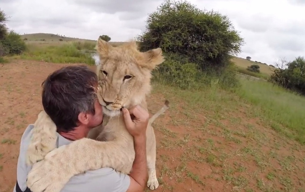 Te divne divlje životinje! (VIDEO)